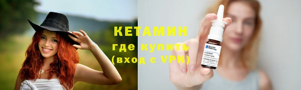 стаф Волосово