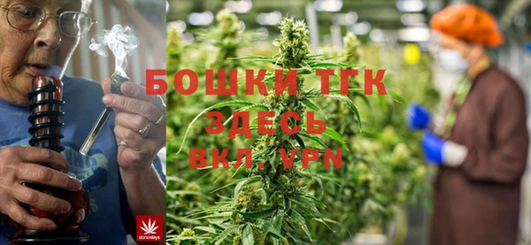 стаф Волосово
