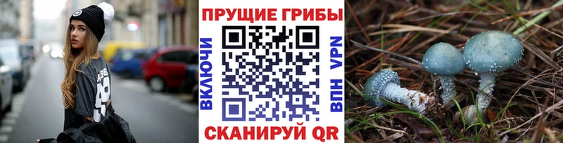 Купить закладки Поронайск Псилоцибиновые грибы мицелий